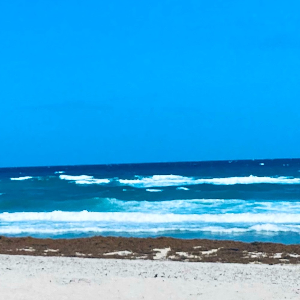 Meet your Posher, Joy